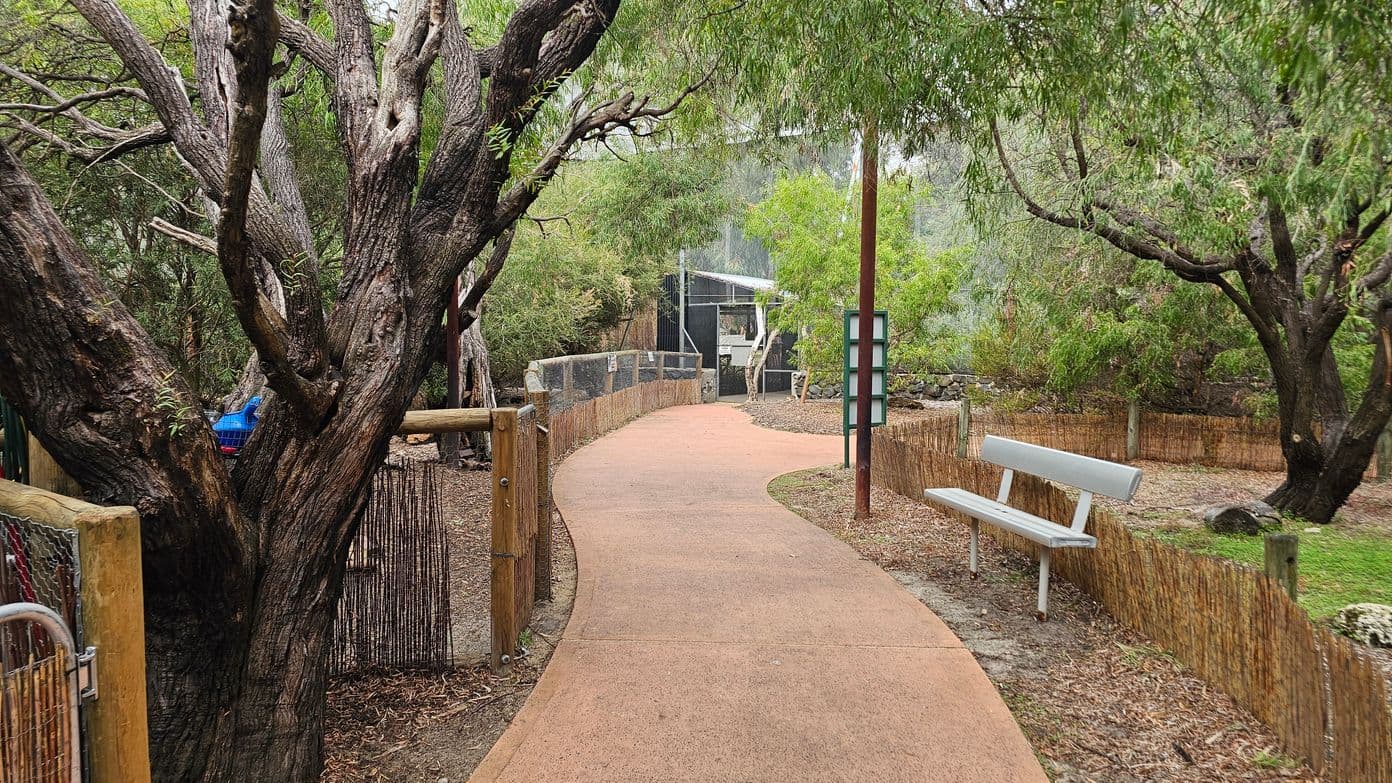 A winding path leads through a wooded area with dense trees on both sides. On the left, a large tree trunk is visible, with a wooden fence and wire mesh. On the right, a white bench sits beside a low wooden fence. In the background, a structure with a corrugated metal roof is partially obscured by foliage. The ground is covered with a mix of dirt and fallen leaves, and the path is a smooth, light brown surface.
