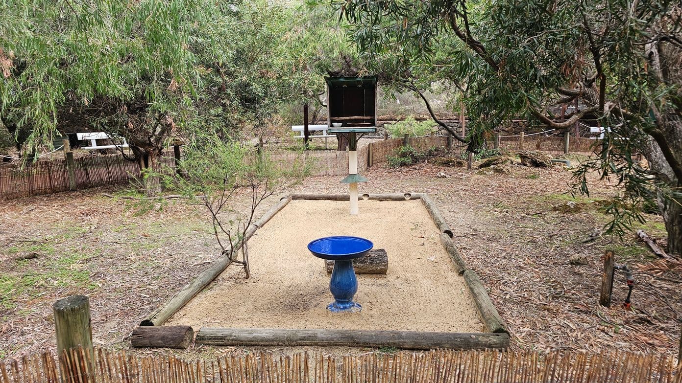 A garden area with a rectangular sand-filled section bordered by wooden logs. In the foreground, a blue birdbath stands on a log. In the middle, a bird feeder is mounted on a pole with a small roof. Surrounding the area are trees with dense foliage. The ground is covered with dry leaves and twigs. A low bamboo fence encircles the garden, and a wooden bench is visible in the background.