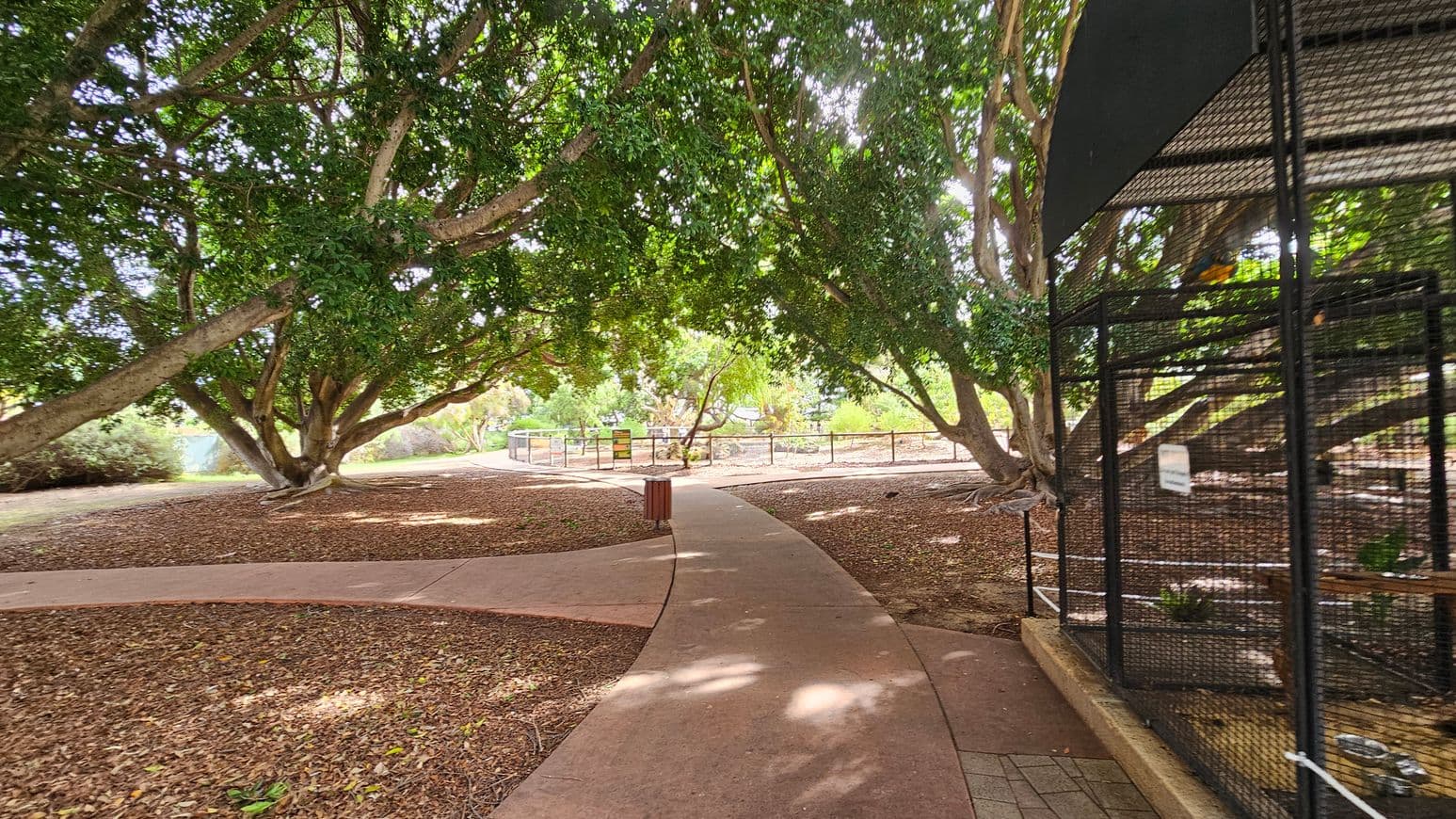 A winding path leads through a park area with large, sprawling trees providing ample shade. On the right, there is a black metal cage structure, possibly for birds or small animals. The ground is covered with brown mulch, and a small bin is visible along the path. In the background, more trees and a fenced area can be seen, suggesting a natural, serene environment.