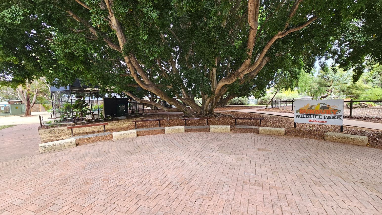 A large tree with sprawling branches dominates the centre, surrounded by a paved area with a herringbone pattern. To the left, there is a fenced enclosure with plants inside. On the right, a sign reads "Bunbury Wildlife Park Welcome". Benches and low stone barriers encircle the tree, and pathways extend into the background, bordered by more trees and greenery.