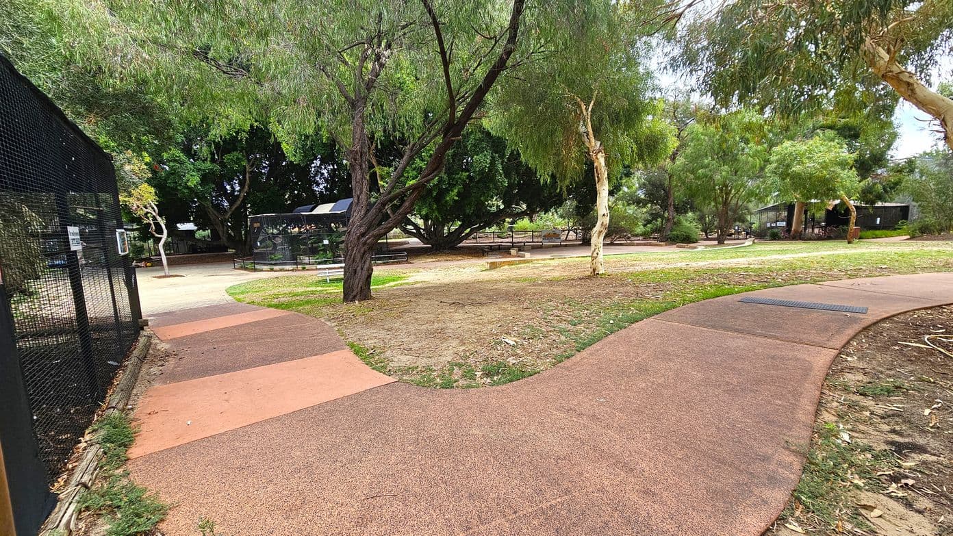 A winding path with a reddish-brown surface curves through a park. On the left, a black mesh fence encloses an area, while on the right, trees with slender trunks and green foliage line the path. In the centre, a large tree with sprawling branches provides shade. Benches and picnic tables are scattered around, and a building is visible in the background among the trees. The ground is a mix of grass and bare patches.