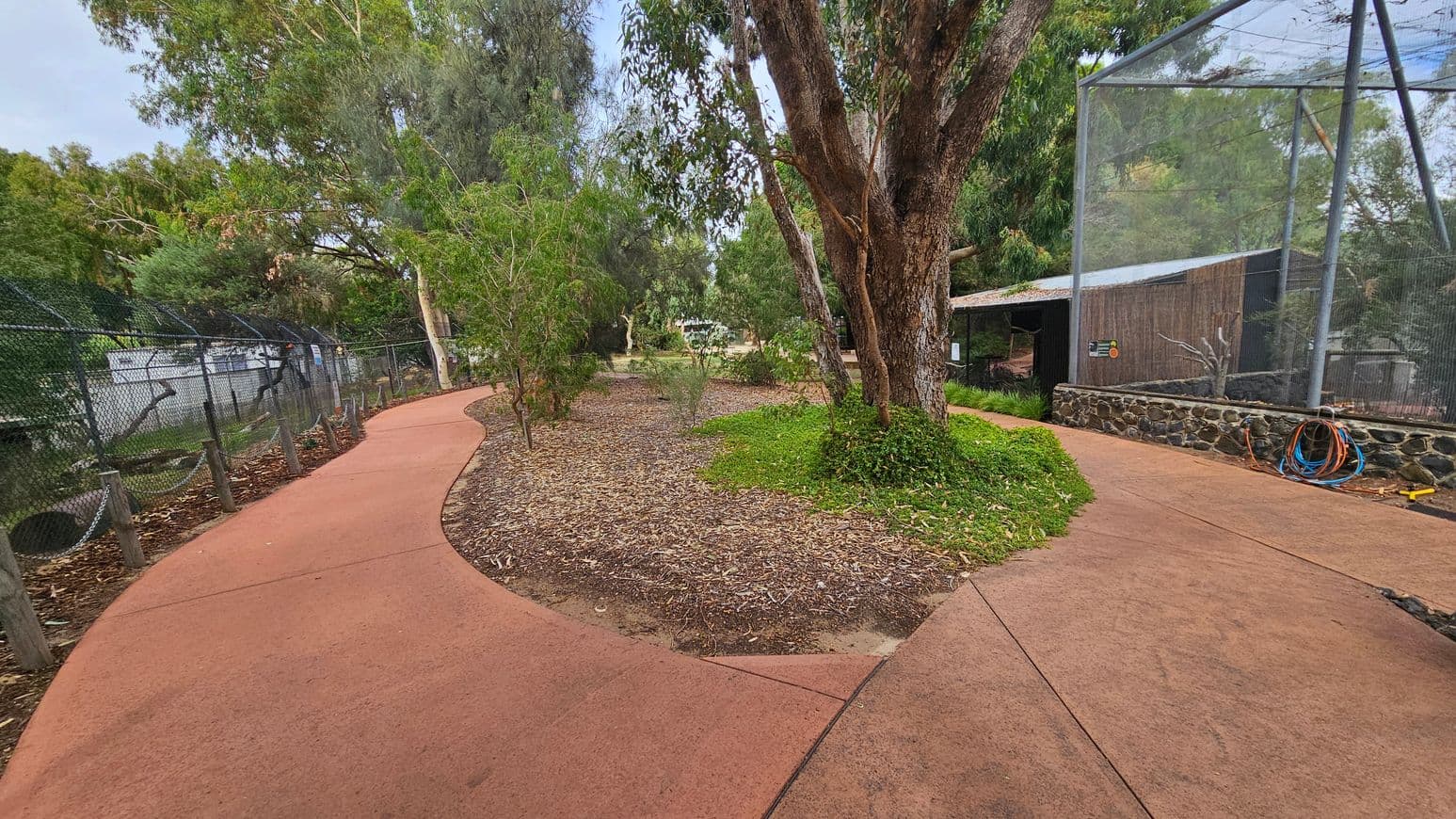 A winding red path splits into two directions, bordered by trees and shrubs. On the left, a chain-link fence encloses an area with trees. On the right, a large tree stands near a structure with a stone base and mesh walls, possibly an animal enclosure. Coiled hoses rest against the stone wall. The ground is covered with fallen leaves and mulch, and the area is lush with greenery.