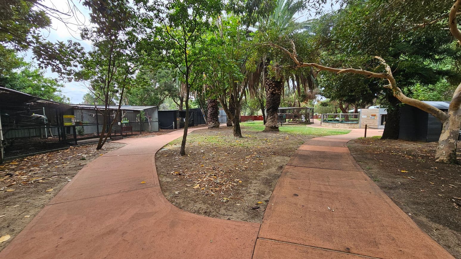 A winding path made of reddish-brown concrete runs through a park-like setting. On the left, there are enclosures with wire fencing, possibly for animals, with signs attached. In the centre, several trees, including palm trees, are scattered across a patch of earth with fallen leaves. On the right, more trees and additional enclosures are visible. The area is surrounded by greenery, creating a natural environment.