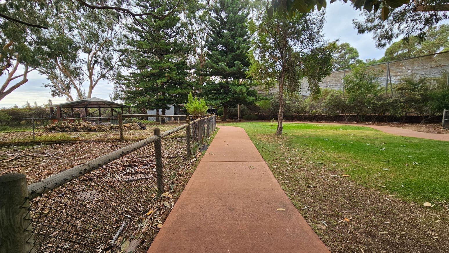 A paved path runs through the centre, flanked by a wire fence on the left and a grassy area on the right. Behind the fence, there is a gazebo surrounded by trees and foliage. Tall trees line the background, with a mix of evergreen and deciduous varieties. The ground is scattered with leaves, and the area appears to be part of a park or garden setting.