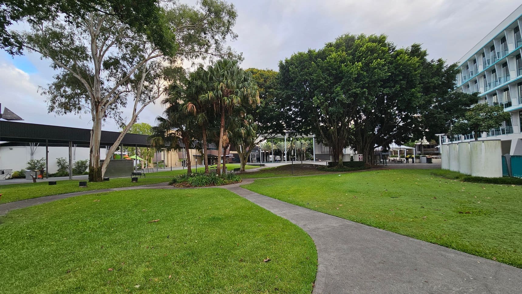 A grassy area with a winding concrete path in the foreground. On the left, there are tall trees and a modern building with a black roof. In the centre, a cluster of palm trees and a large tree provide shade. On the right, a multi-storey building with balconies is visible. The background features more trees and a few structures, suggesting an urban park or campus setting.