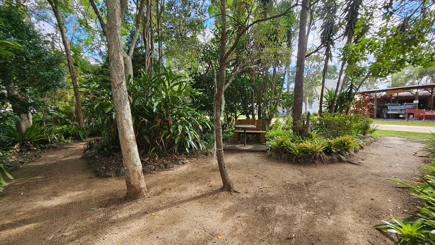 A garden scene with a dirt path winding through lush greenery. On the left, tall trees and dense foliage create a shaded area. In the centre, a small tree stands on a patch of dirt. To the right, a wooden bench with a round table is nestled among plants. In the background, a structure with a roof and various items underneath is visible, along with a glimpse of a house. The ground is covered with a mix of dirt and scattered leaves.