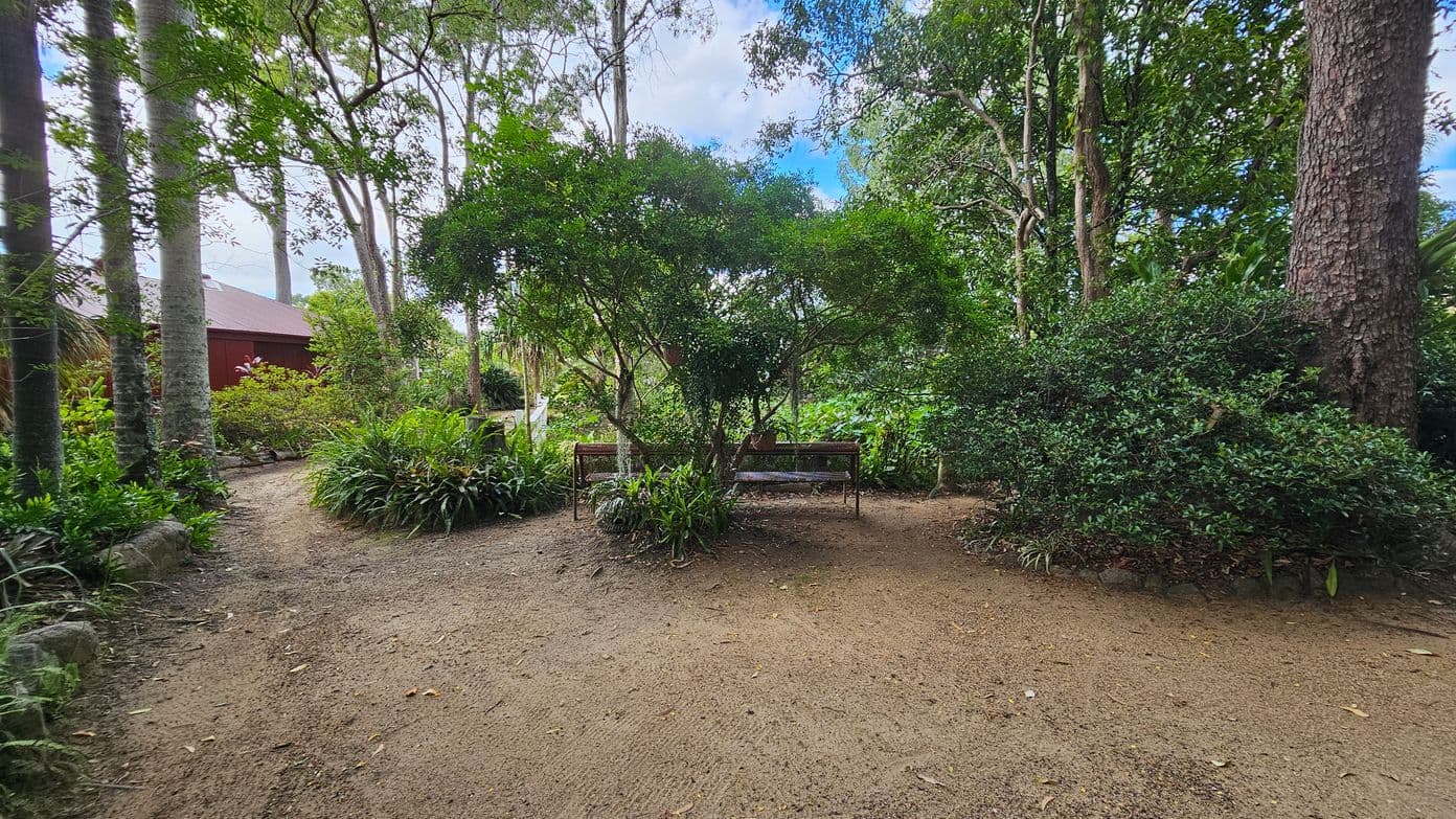A garden scene with a dirt path in the foreground leading to a bench in the middle, partially obscured by a lush green tree. Surrounding the bench are various plants and shrubs. On the left, a red building is visible behind a cluster of trees and foliage. Tall trees with slender trunks are scattered throughout, and dense greenery fills the background. The ground is covered with a light layer of soil.