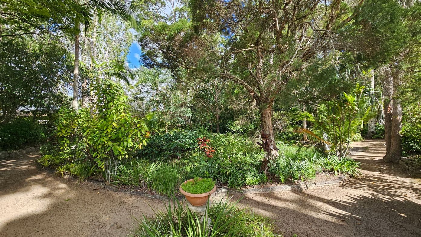 A lush garden scene with a variety of trees and plants. In the centre, a terracotta pot on a pedestal contains green foliage. To the left, dense greenery and a tall palm tree are visible. On the right, a dirt path winds through the garden, bordered by more plants and trees. The ground is covered with a sandy surface, and sunlight filters through the foliage, casting shadows.
