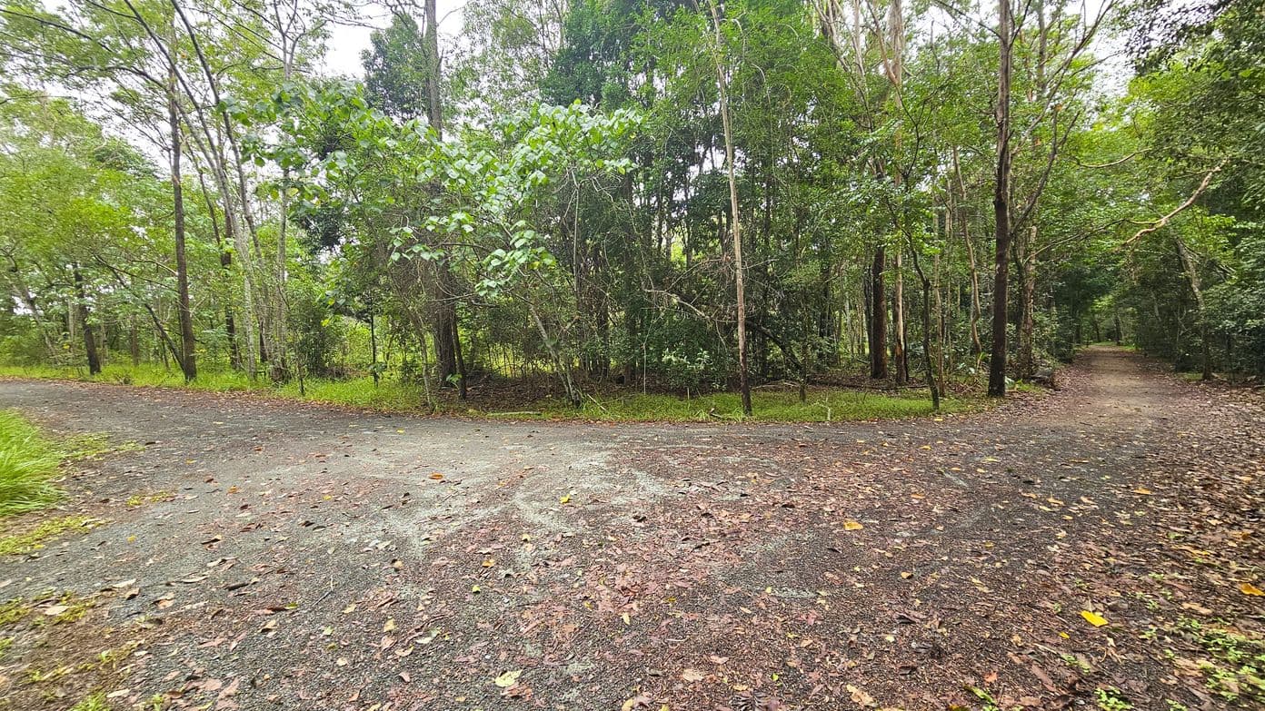 A forest path diverges into two directions. On the left, the path curves gently, bordered by dense trees with green foliage. On the right, the path continues straight, flanked by tall trees. The ground is covered with a mix of dirt and fallen leaves, creating a natural, earthy surface. The background is filled with lush greenery, with trees densely packed, creating a serene woodland atmosphere.