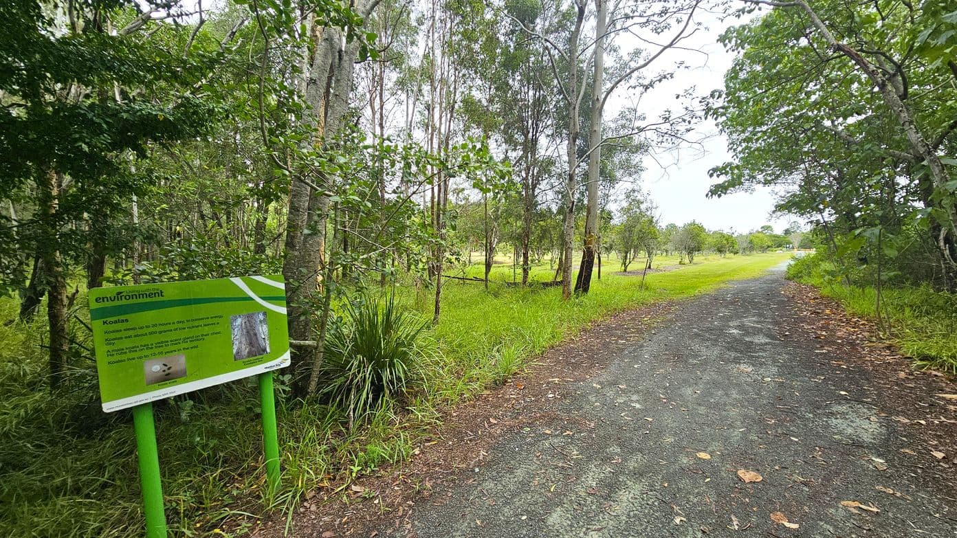 A narrow, paved path runs through a wooded area with trees on both sides. On the left, a green informational sign about koalas is visible, surrounded by dense foliage and grass. The right side of the path is bordered by more trees and grass, leading into an open, grassy area in the distance. The ground is covered with fallen leaves, and the path appears slightly worn.