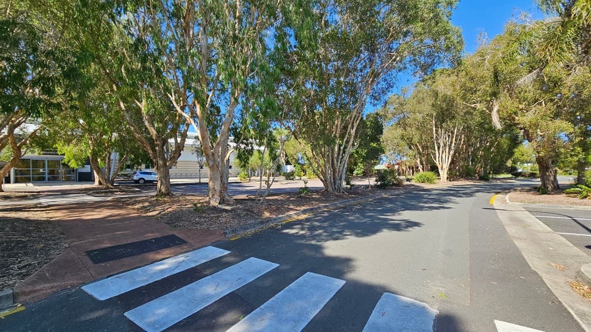 A zebra crossing leads to a path surrounded by tall trees with dense foliage. On the left, a building with large windows and a parked car is visible. The road curves to the right, lined with more trees and some low shrubs. The ground is a mix of asphalt and mulch, with shadows cast by the trees. The sky is clear and blue.