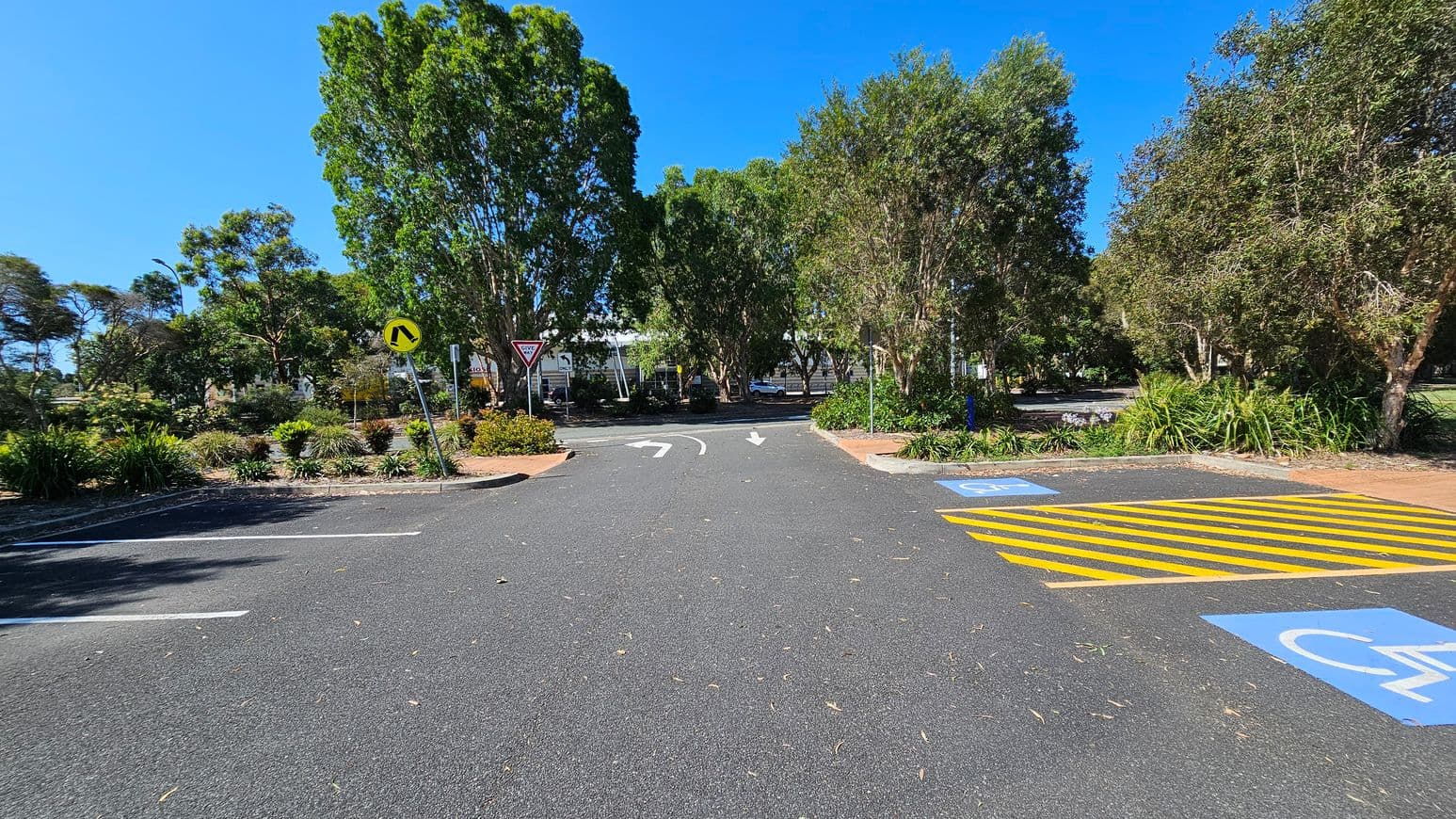 A paved road with a yellow striped pedestrian crossing and blue disabled parking symbols on the right. The road has directional arrows pointing left and right. On the left, there are parking spaces and a small garden with shrubs. In the background, there are tall green trees and a "Give Way" sign. The area is surrounded by lush greenery.