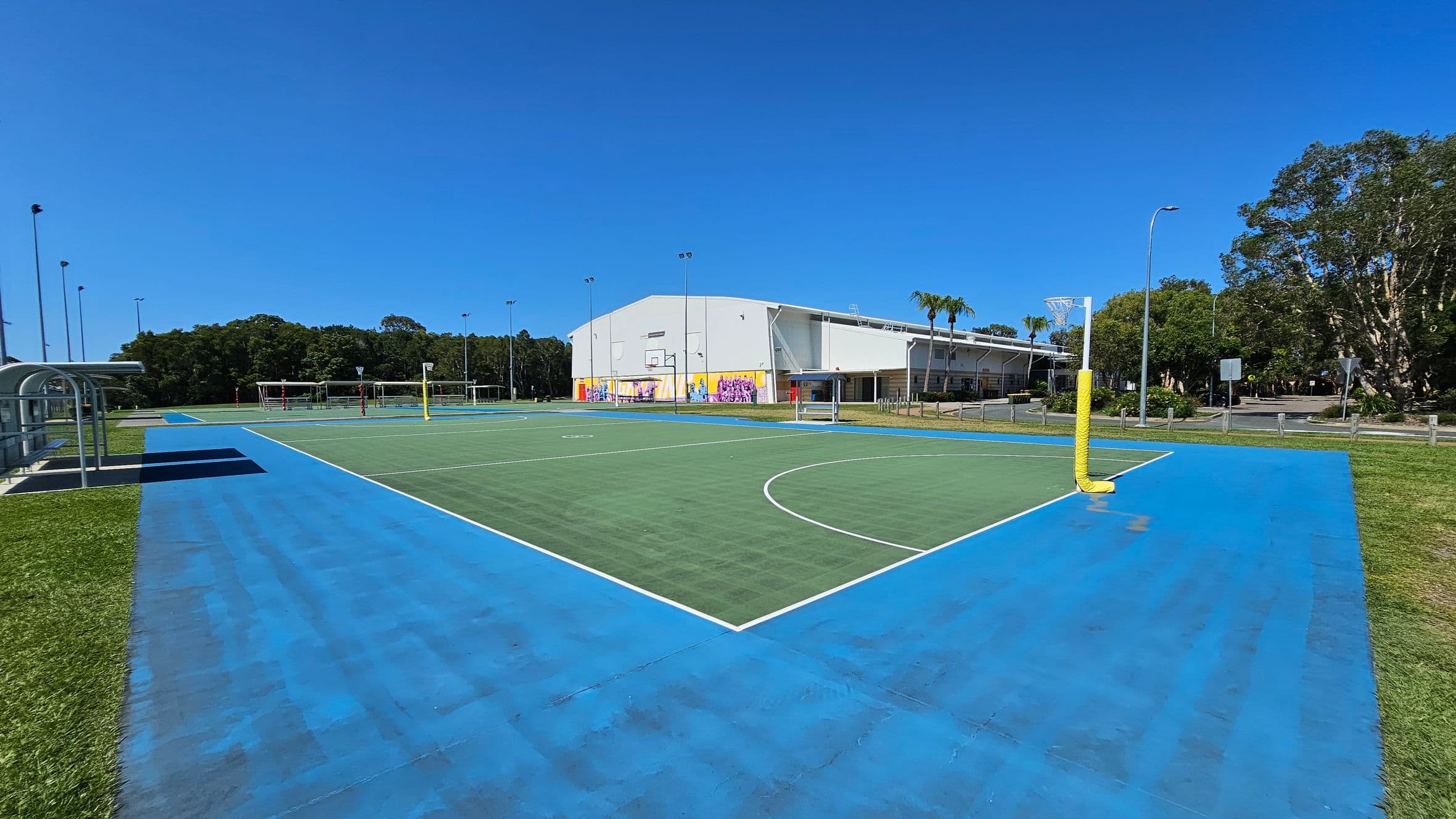 A netball court with a blue perimeter and green playing area. On the left, there is a covered seating area and grass. In the background, a large white building with colourful murals is visible, surrounded by trees. On the right, there are more trees and a road with street signs and lamp posts. The court has netball hoops with yellow padding.