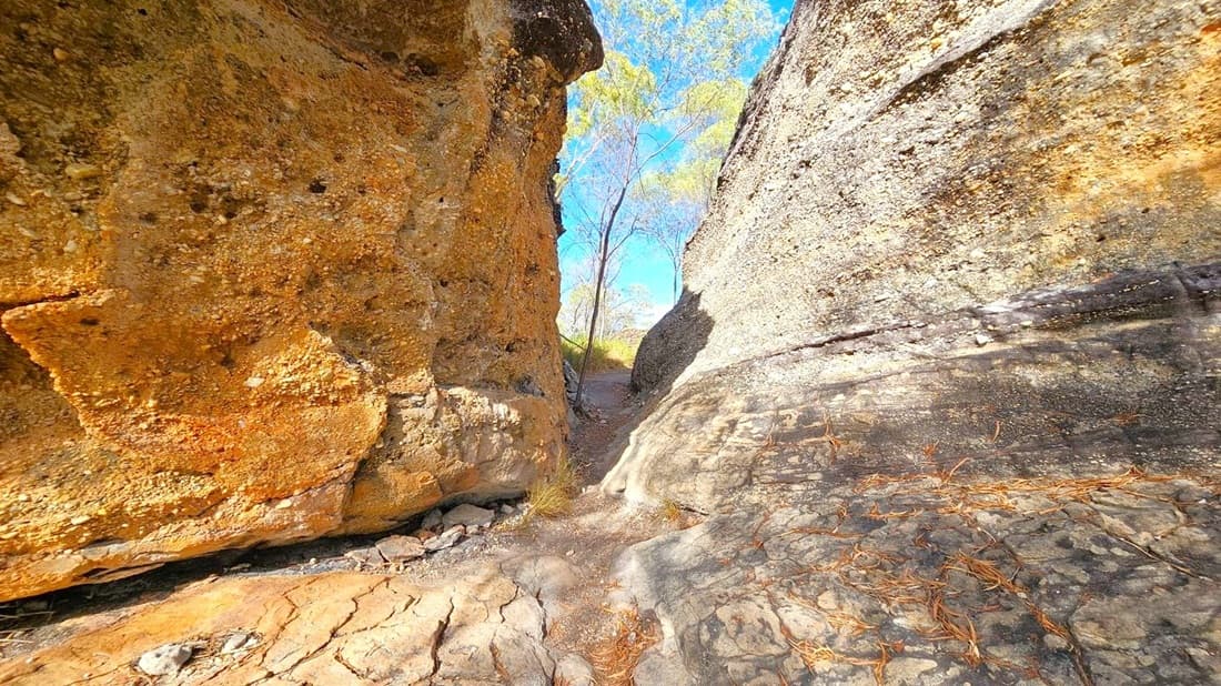 Tall rock formations on both sides create a narrow passage. The left side features a rough, textured surface with a mix of brown and green hues. The right side has a smoother appearance with grey tones. In the middle, a dirt path leads through the gap, with a few small trees visible in the background. The ground is uneven with scattered leaves and small rocks. The sky is visible above, adding a touch of blue.
