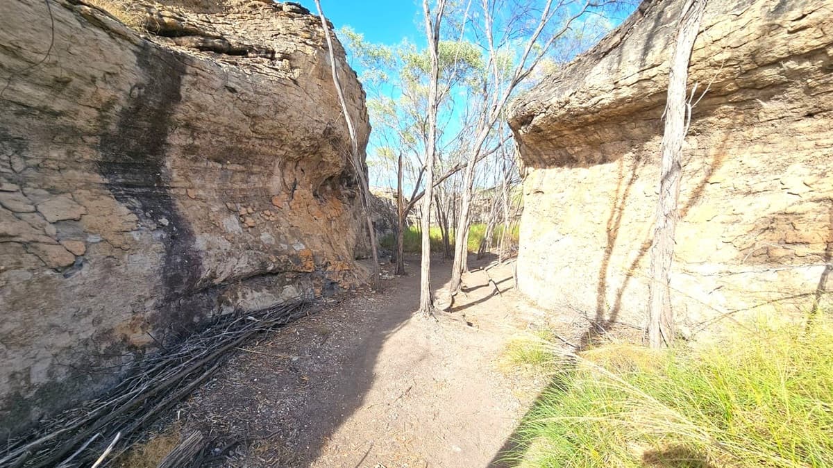 Tall rock formations on both sides create a narrow passage. The left side features a rugged, textured surface with dark streaks, while the right side has a smoother, lighter appearance. In the centre, slender trees with sparse foliage grow from the ground, casting shadows. The ground is a mix of dirt and scattered leaves, with some grass visible on the right. The background shows more trees and a clear blue sky.