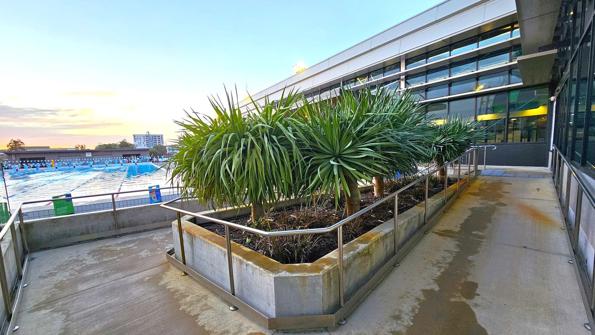 A concrete pathway with a metal railing runs alongside a building with large windows on the right. In the centre, a raised planter box contains several tall, spiky green plants. To the left, an outdoor swimming pool is visible, covered with blue tarps and surrounded by a fence. In the background, there are buildings and trees under a soft, colourful sky. The ground is slightly wet, and the building has a modern design with horizontal lines.