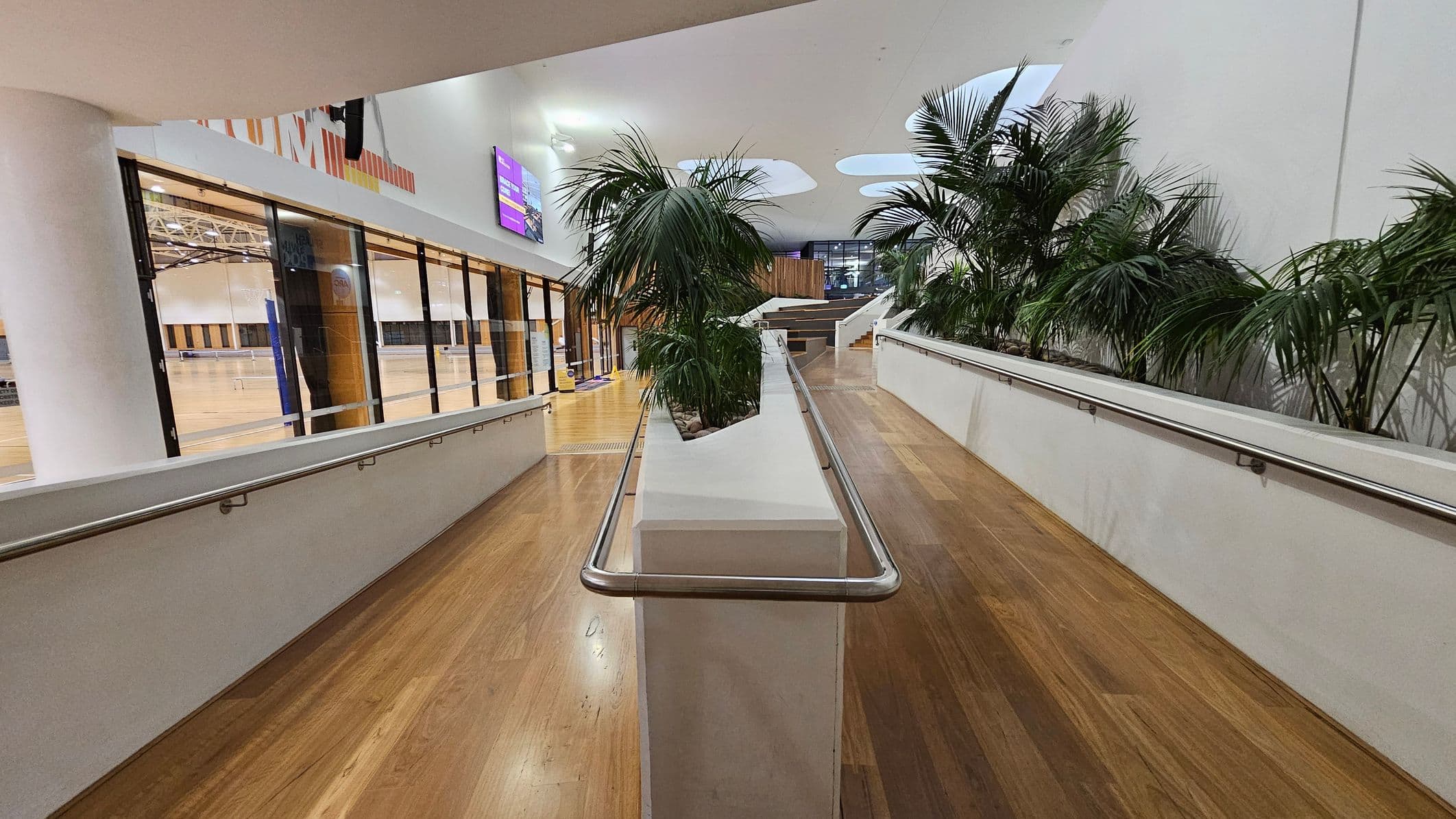 A modern indoor space with a wooden floor and white walls. In the centre, a ramp with metal railings is flanked by planters filled with tall green plants. On the left, large glass windows reveal a sports hall with a wooden floor and visible ceiling beams. On the right, more plants line the ramp. The ceiling features circular skylights, allowing natural light to illuminate the area. A digital screen is mounted on the wall above the windows.
