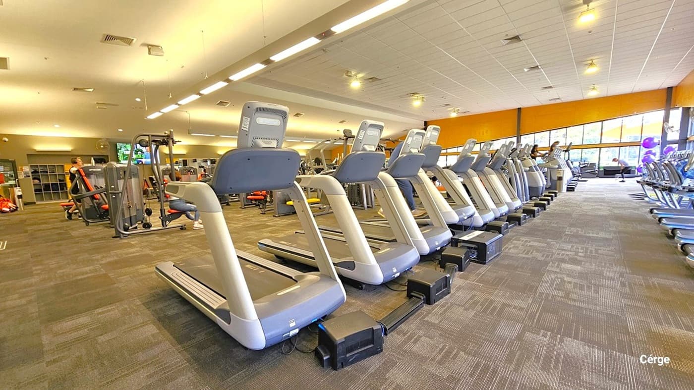A spacious gym interior with a row of treadmills lined up on the right side, each equipped with a digital screen. The left side features various exercise machines, including a seated chest press. The floor is carpeted in a dark pattern, and the ceiling is fitted with long fluorescent lights. Large windows on the far right allow natural light to enter, illuminating the space.