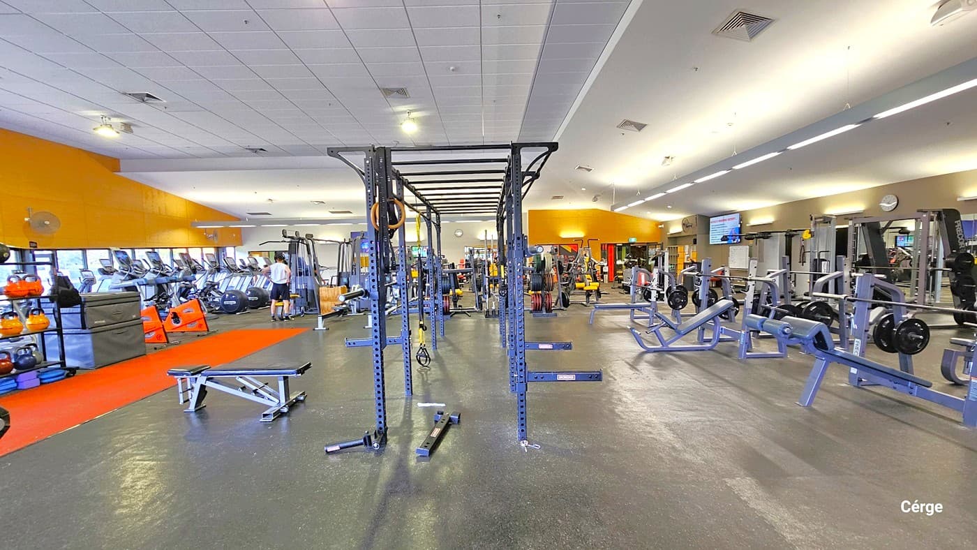 A spacious gym interior with a variety of fitness equipment. On the left, there are treadmills lined up against a large window, with kettlebells and other weights on shelves. In the centre, a large metal frame structure for pull-ups and other exercises. On the right, there are weightlifting benches and machines. The floor is dark and rubberised, and the ceiling is white with recessed lighting. The walls are painted in a warm orange tone.