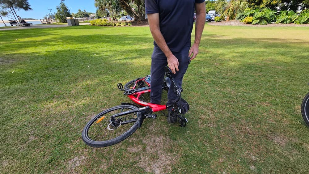 On the left, a red electric bike lies on its side on a grassy area. In the middle, a person wearing a dark blue shirt and trousers is standing, holding the bike's handlebars. On the right, more grass and a few trees are visible. The background includes a grassy park area with trees, bushes, and some parked cars.
