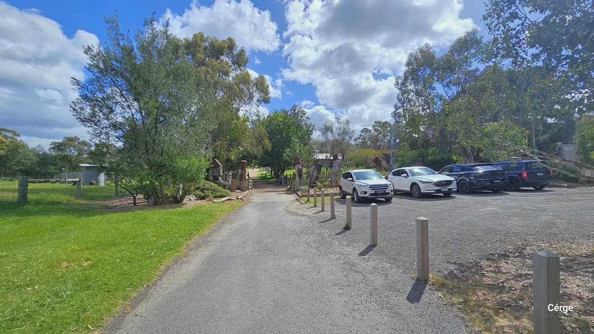 Another view of the parking area. In the middle is a concrete pathway. To the right, there is a concrete parking area with four cars parked in shades of blue and white. Bollards border the path. To the left is a grassy area with tall trees. Further on the left, there are concrete sculptures visible.
