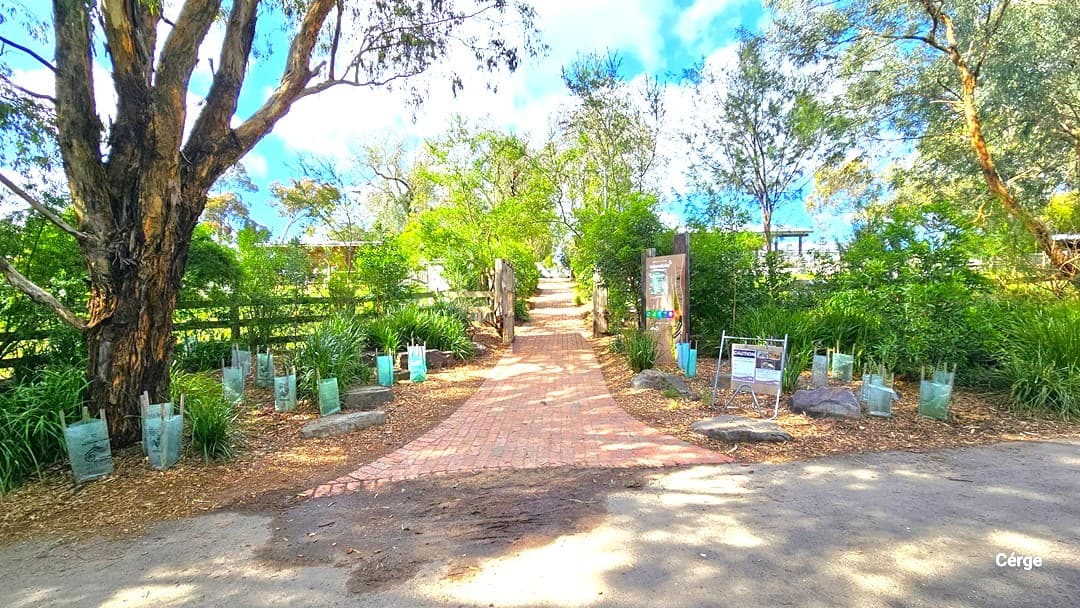 A straight brick pathway leads to the Edendale building, bordered by small trees enclosed with plastic fencing on both sides. A large tree stands on the left, and a fence runs along the left side. Tall grass, bushes, and trees encompass the surroundings.