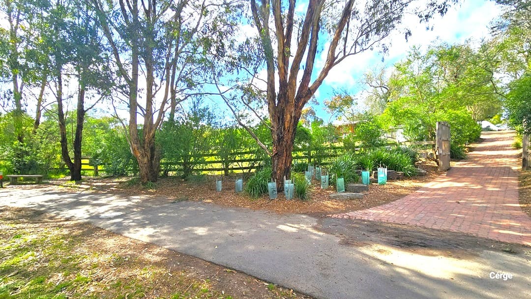 A straight brick path extends directly to the Edendale building. Small trees, encircled by plastic fencing, line both sides of the pathway. A large tree stands on the left, accompanied by a fence on the left side. The surroundings consist of tall grass, bushes, and trees. Another path leads to the left section of the barricaded area.
