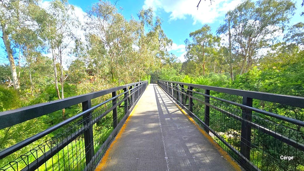 An elongated bridge with twin black metal railings. The floor surface is crafted from non-slip material, marked by a straight yellow line. The surroundings include towering mature trees, bushes, and tall grass.
