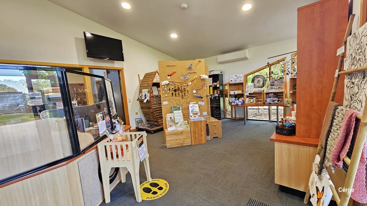 A shop interior with a grey carpeted floor. On the left, there's a counter with a glass partition and a small wooden crate. Above, a television is mounted on the wall. In the centre, a wooden display stand holds various items. The right side features shelves with merchandise, including textiles and small products. The ceiling is white with recessed lighting, and a large window at the back lets in natural light.