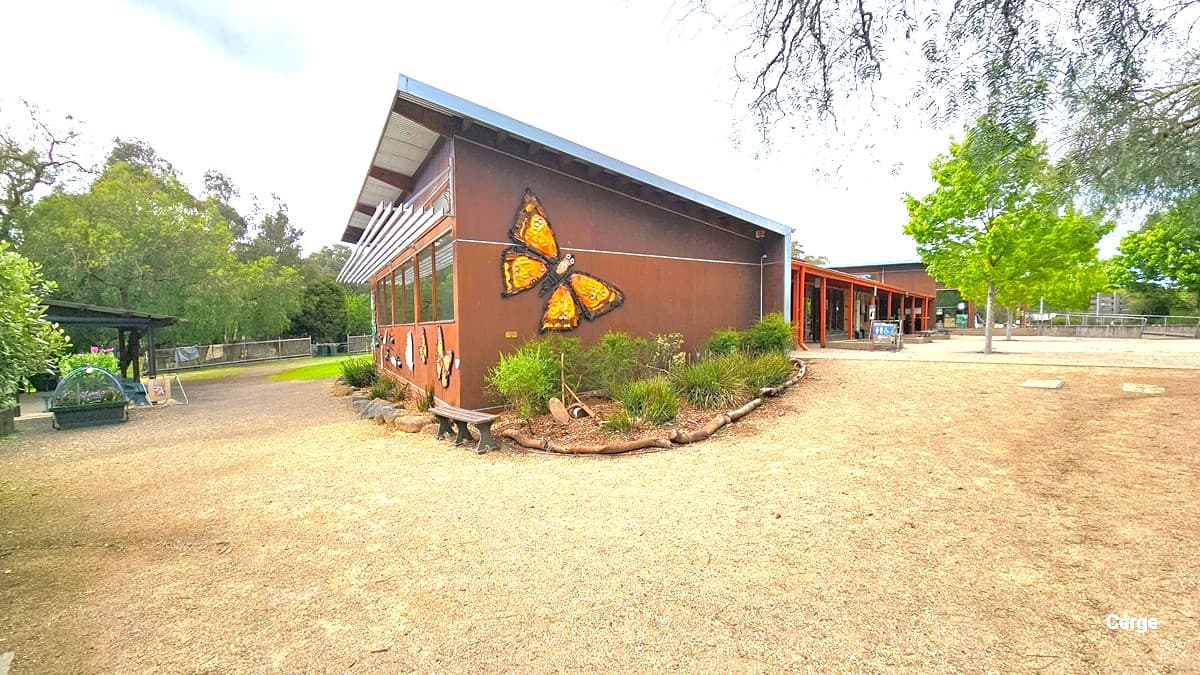 This part of Edendale Community Farm showcases a brown-painted building with large butterfly imagery on the wall. It is connected to another community building. An ornamental landscape and a bench for seating are situated on the side. Moving forward, there is a shaded plant box and a covered veranda.