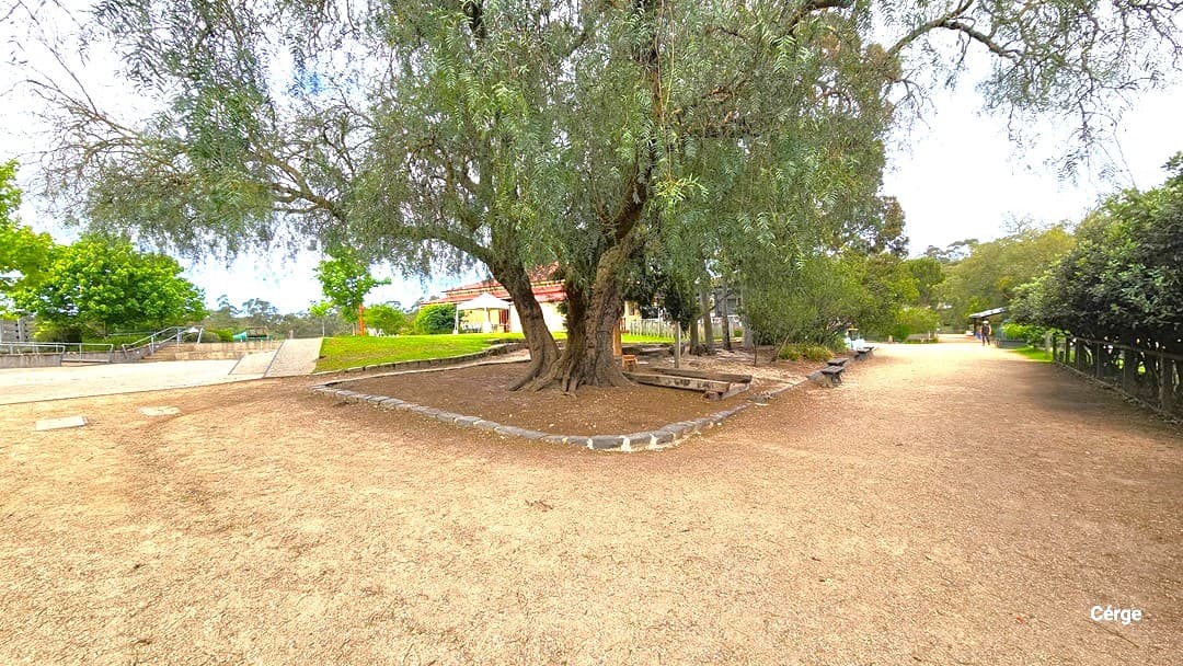 A broad and uneven gravel space with a substantial tree surrounded by neatly arranged stones in the centre. On the left, a raised concrete pathway leads to a building with a red roof. To the right, trees are aligned along the path.