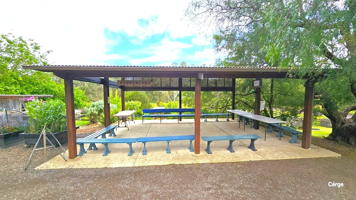 A timber and steel structure with a hanging sign that reads "Peppercorn." Beneath it, green bench chairs and white tables are neatly arranged. Towards the back is a farm. Next to the verandah, two plant boxes contain seedlings and flowering bushes. A signage is positioned on the side. To the right, a large tree's branches extend to the veranda's roof.