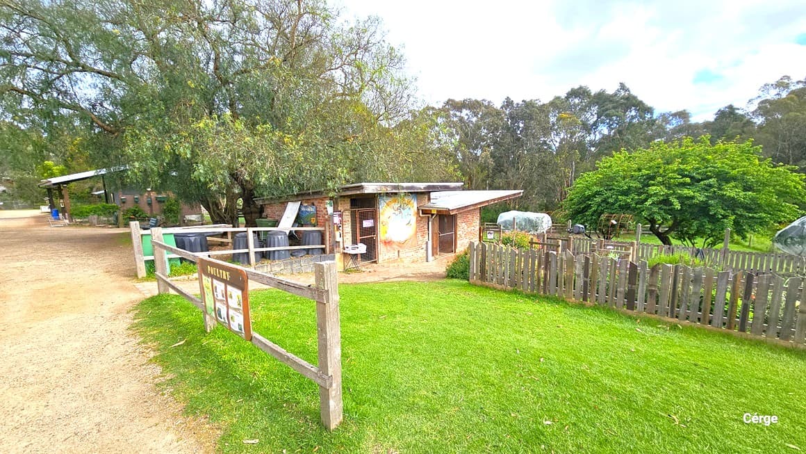 A green grassy area enclosed by a wooden fence labeled "Poultry." On the left, a dirt area leads to another building, while to the right, a brick building stands under the shade of a large tree. Black barrels are positioned in front, and the surroundings are framed by tall trees.