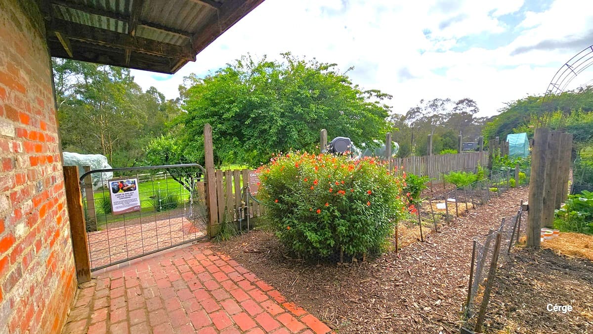 One side of a brick building with adjacent brick pathways. To the right, a generous garden area flourishes with plants, bushes, shrubs, and vines. Fences, both wooden and metal, demarcate the garden, and a banner is affixed to the gate. The surroundings are enveloped by trees.