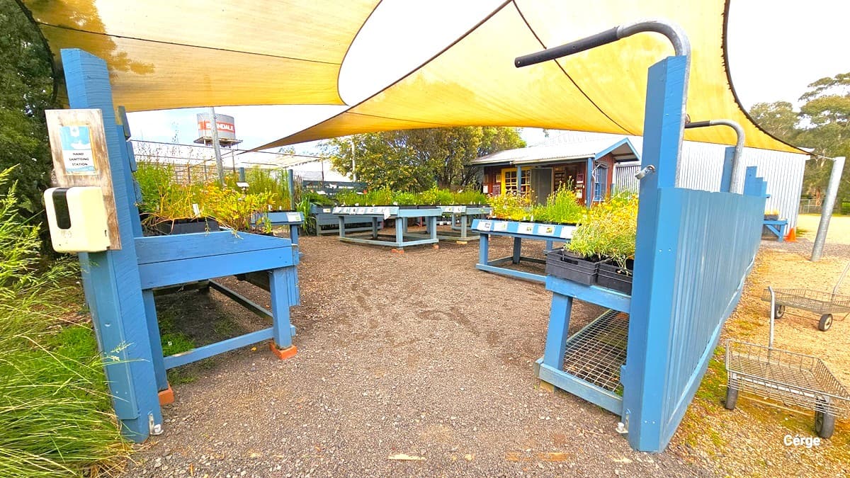Upon entering the Edendale Nursery, there is a space enclosed by a blue fence. A hand sanitizer is placed at the left entrance. Inside, blue tables host a variety of plants including seasonal Vegetable Seedlings, Compost Bins, Worm Farms, and Queensland Fruit Fly prevention. Pull carts for plant transport are positioned on the right. Overhead, yellow shade cloths provide cover, and the left section is surrounded by tall grass and trees
