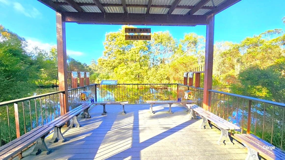 A closer view of the Dam Shelter reveals a shed with a high ceiling and corrugated design roof. A signage reading "Dam Shelter" hangs in the middle. Bench chairs are lined up on the sides, and reminders are affixed to the metal railing. The area is surrounded by tall trees, their reflections visible on the lake water.