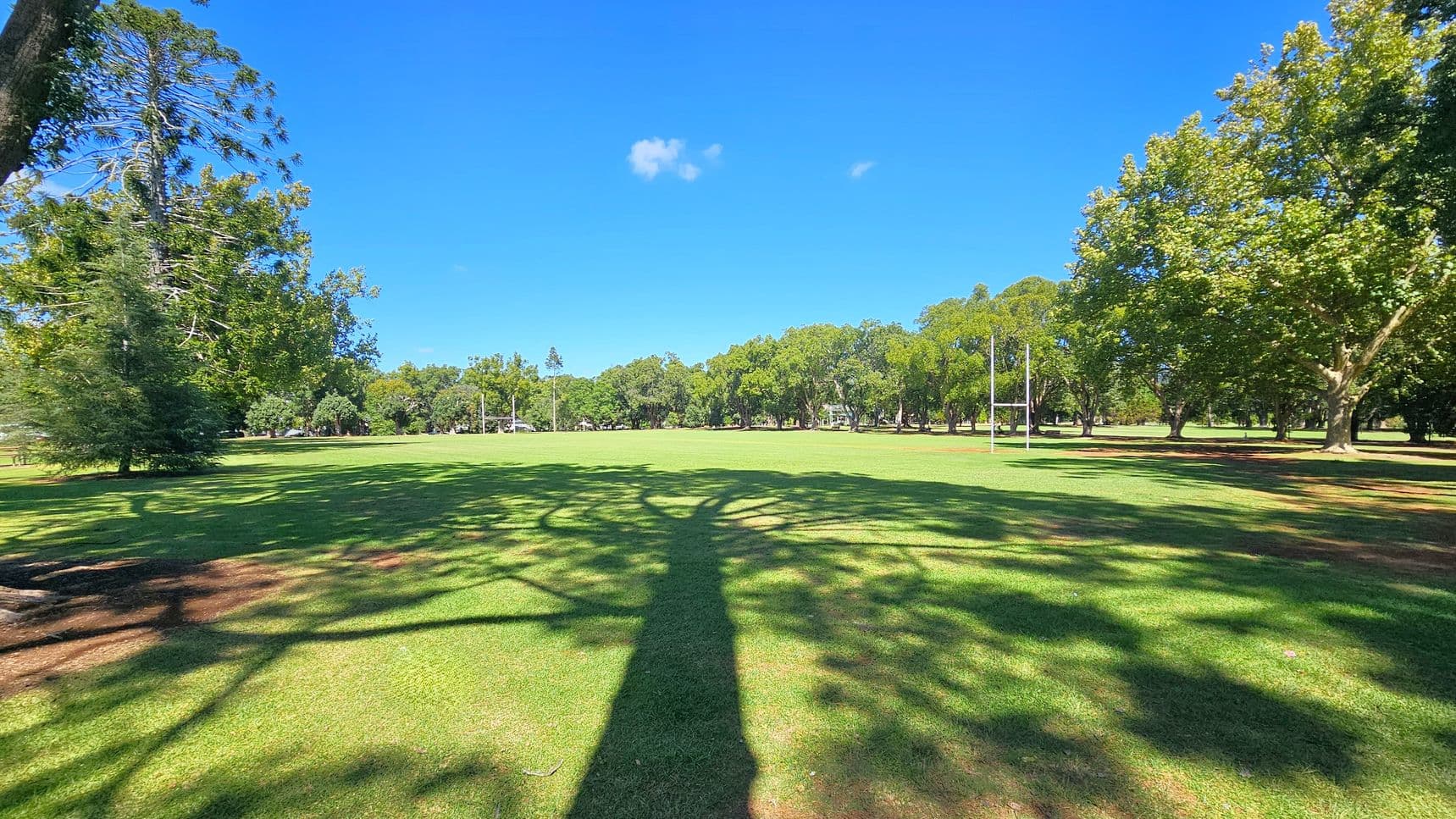 A large, open grassy field with a rugby goalpost on the right. Tall trees border the field on both sides, casting long shadows on the grass. The shadow of a tree is prominently visible in the foreground, creating a pattern on the ground. The sky is clear and blue.