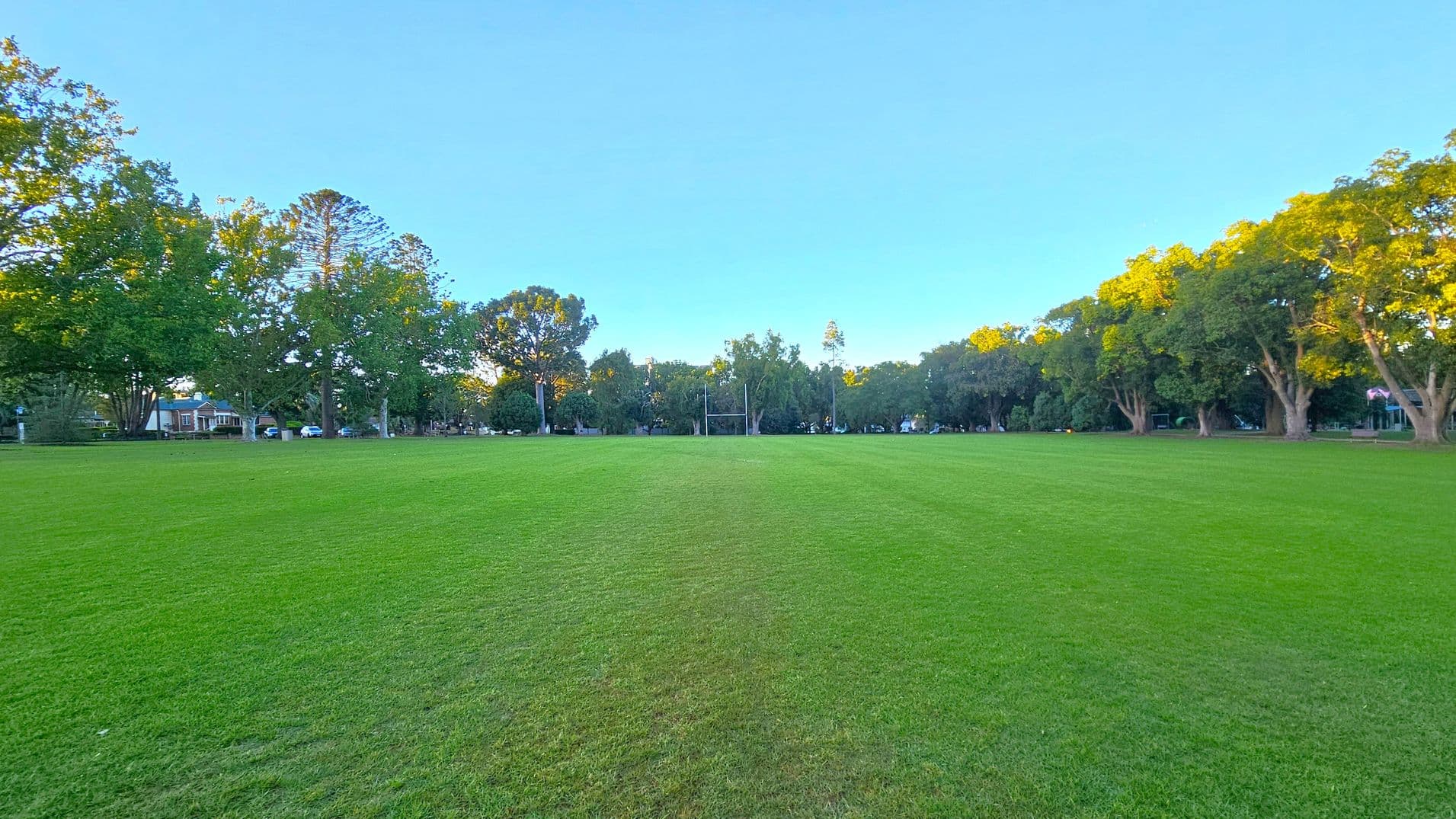 A wide, open grassy field stretches across the foreground, with a clear path of slightly darker grass running down the centre. In the background, a line of tall trees borders the field, with some houses partially visible through the foliage on the left. The trees on the right are illuminated by sunlight, casting a warm glow. The sky above is clear and blue.