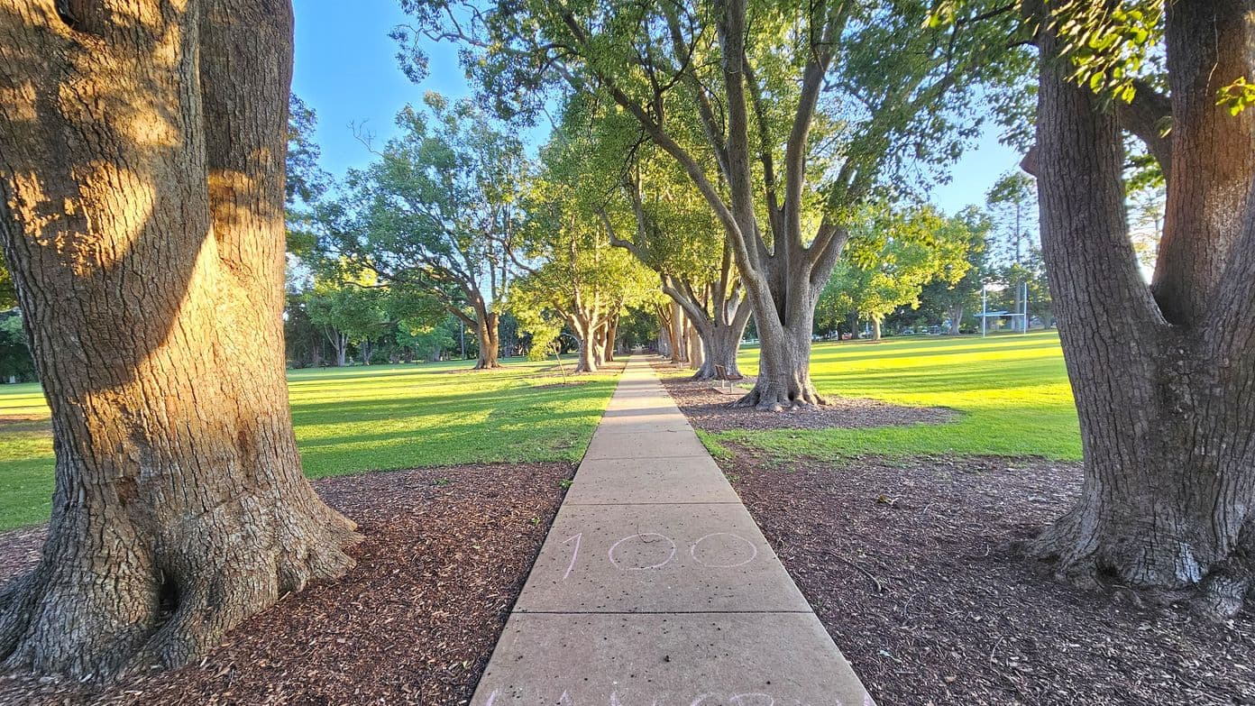A straight concrete path runs through a park, flanked by large trees on both sides. The trees cast shadows on the grass, which is neatly trimmed. The path has chalk markings, including the number "100". The sunlight filters through the leaves, creating dappled patterns on the ground. In the distance, more trees and open grassy areas are visible. The scene is serene and well-maintained.