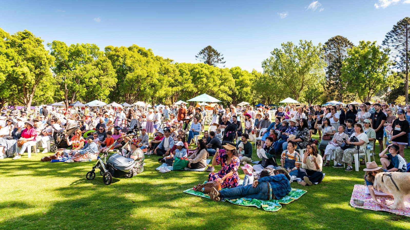 A large crowd is gathered on a grassy area, with people sitting on blankets and chairs. Many are wearing hats and casual clothing. In the background, there are numerous trees providing shade, and several market-style tents are visible. Some people have prams and dogs with them. The atmosphere suggests a relaxed outdoor event or festival.