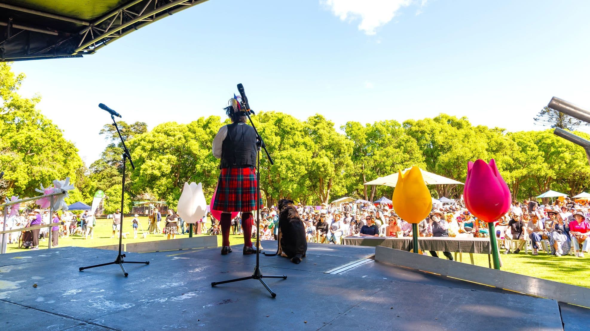A person in a kilt stands on a stage with two microphones in front of them. A dog sits beside them. Large, colourful tulip decorations are on the stage. In the background, a large crowd is seated on a grassy area, with trees and umbrellas providing shade. The stage has a dark, textured surface, and the ceiling is part of a stage canopy.