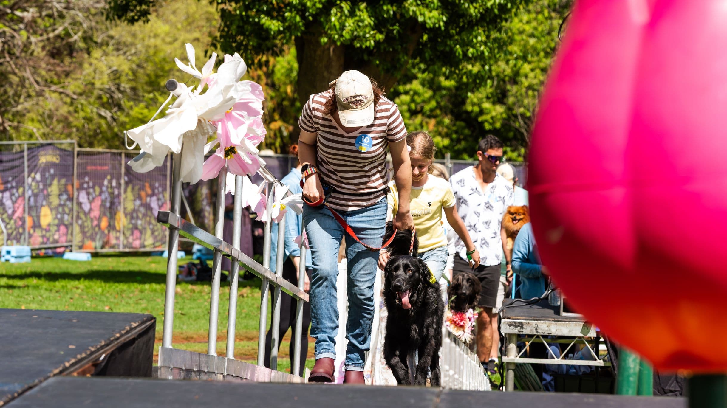 A person in a striped shirt and cap is walking a black dog on a lead up a ramp decorated with large white and pink flowers. Behind them, a young girl follows. In the background, several people, including a man in sunglasses and a floral shirt, are visible. Another dog is being carried by someone. The setting is outdoors with green grass and trees, and a colourful fence with floral patterns. A large pink object is partially visible on the right.
