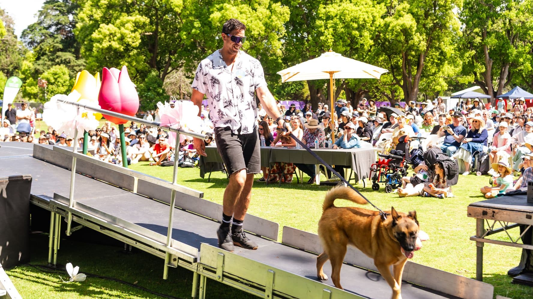 A man in a floral shirt and sunglasses walks a brown dog on a lead down a ramp. The ramp is decorated with large, colourful flower props. In the background, a large crowd of seated people, many wearing hats, watch the event. Some are seated at tables under a large umbrella, while others sit on the grass. The setting is outdoors with lush green trees surrounding the area.