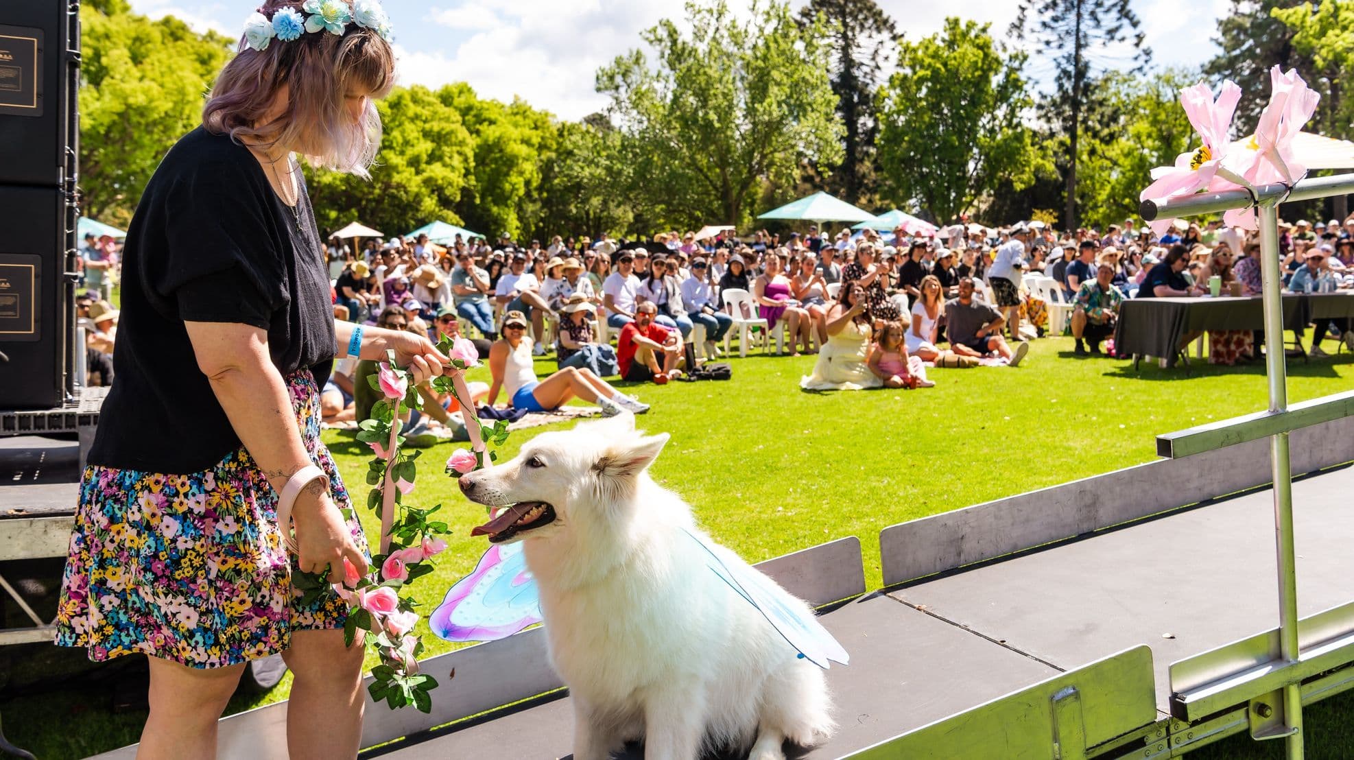 A woman with a floral headband and a colourful skirt stands on the left, holding a garland of pink flowers. A white dog with fairy wings sits beside her on a stage. In the background, a large crowd is seated on a grassy area, some under umbrellas, watching the event. The scene is outdoors with trees and a clear sky visible.
