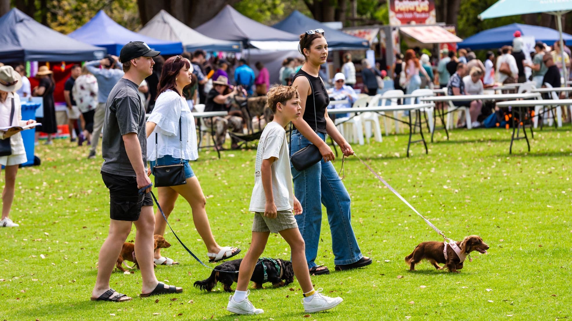 People walking on a grassy area with two small dogs on leads. The group includes a man in a black cap, a woman in a white top, a boy in a light shirt, and a woman in a black top and jeans. In the background, there are several market stalls with colourful tents and a crowd of people. Some tables and chairs are scattered around, and a few people are seated. The scene suggests a lively outdoor event or market.
