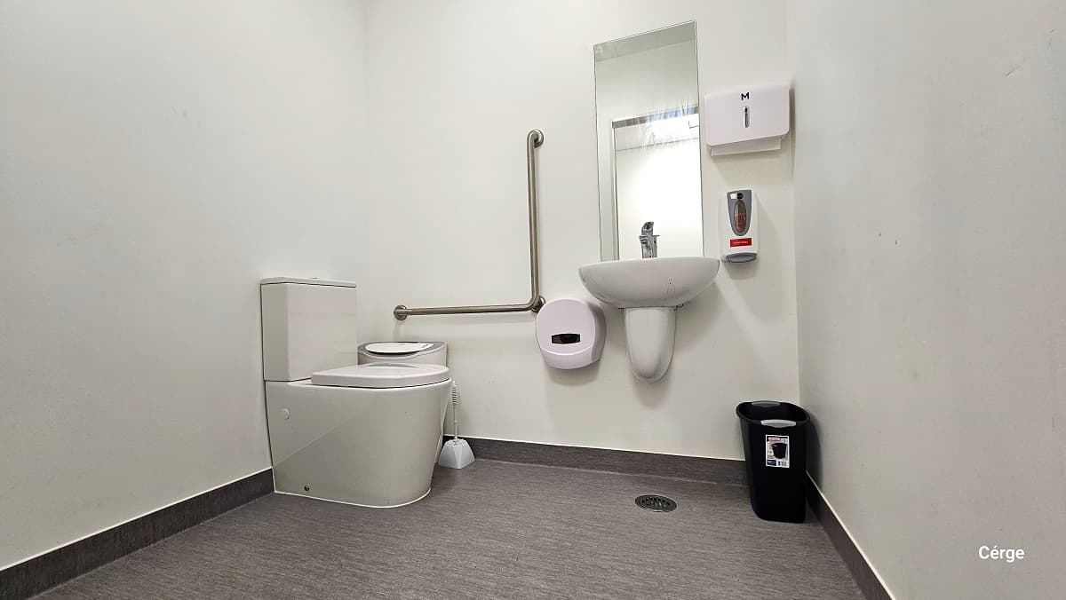 Inside the accessible bathroom in Gallagher Recreation Centre. The bathroom has a grey floor and a white wall with dark brown painted bottom. On the left side of the toilet is a white/grey air purifier, a white toilet brush, and grab bars are fixed to the white wall. There is also a low-set hand basin, a mirror, a liquid hand soap dispenser, and a toilet paper roll dispenser. A small black garbage bin is placed against the wall opposite the toilet.