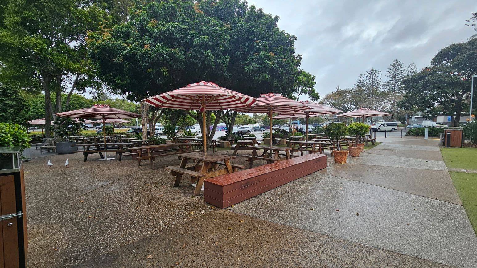 Wooden picnic tables with red and white striped umbrellas are in the centre, surrounded by trees and greenery. The ground is a mix of concrete and grass. A few seagulls are on the left. In the background, there are parked cars and more trees. The area appears to be a public outdoor space, possibly a park or a café seating area.