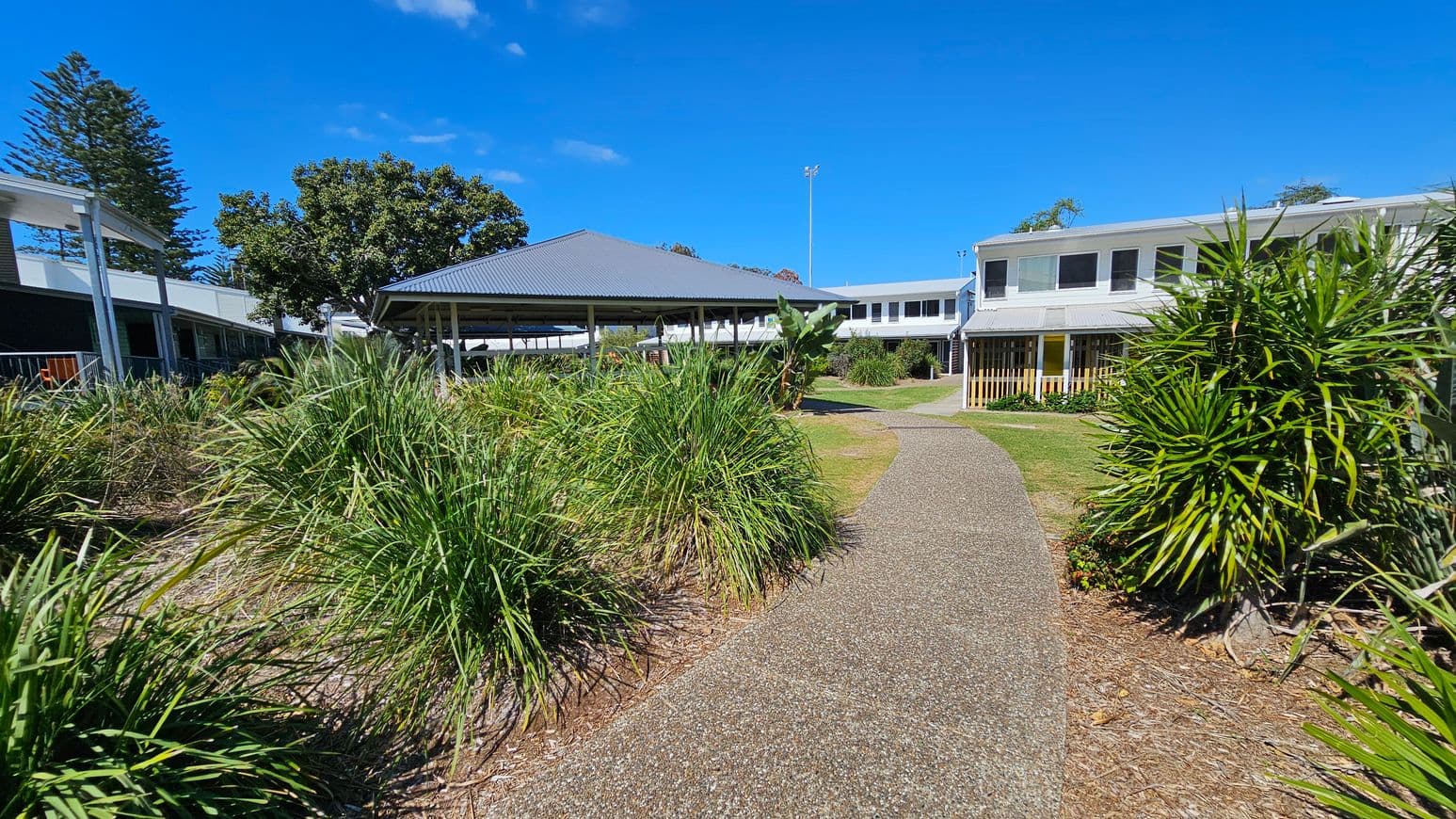 A pathway winds through a garden with tall grasses and shrubs on both sides. On the left, there's a building with a covered walkway and a large tree. In the centre, a pavilion with a grey roof is visible. On the right, a two-storey building with large windows and a small garden area is present. The sky is clear and blue.