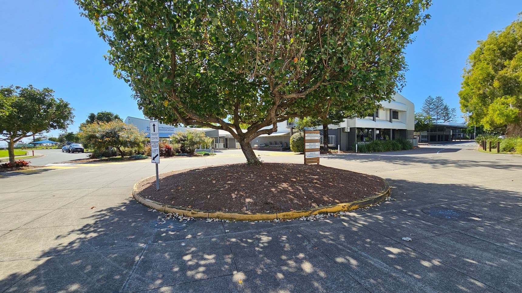 A large tree with a thick trunk and dense green foliage is centred in a circular garden bed surrounded by a concrete pavement. To the left, a road leads to a car park with a few parked cars and more trees. On the right, a modern two-storey building with white and grey exterior walls is visible. A signpost with directional arrows is near the tree. The ground is a mix of concrete and landscaped areas, with shadows from the tree cast on the pavement.