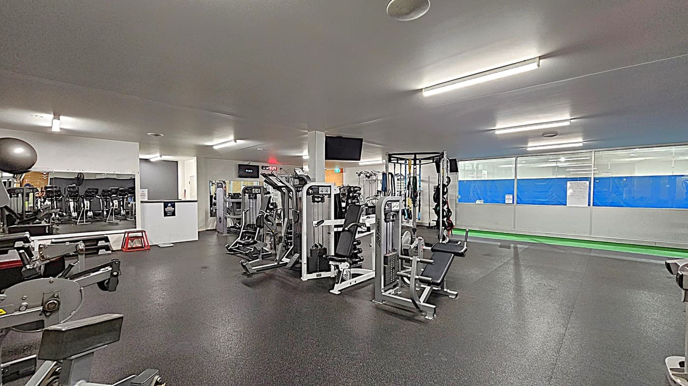 A gym with various exercise machines and equipment. On the left, there's a large mirror reflecting cardio machines. In the centre, there are weight machines and a bench. On the right, a wall with large windows and a green strip on the floor. The ceiling is fitted with fluorescent lights, and the floor is covered with dark rubber matting. A TV is mounted on a pillar in the middle.